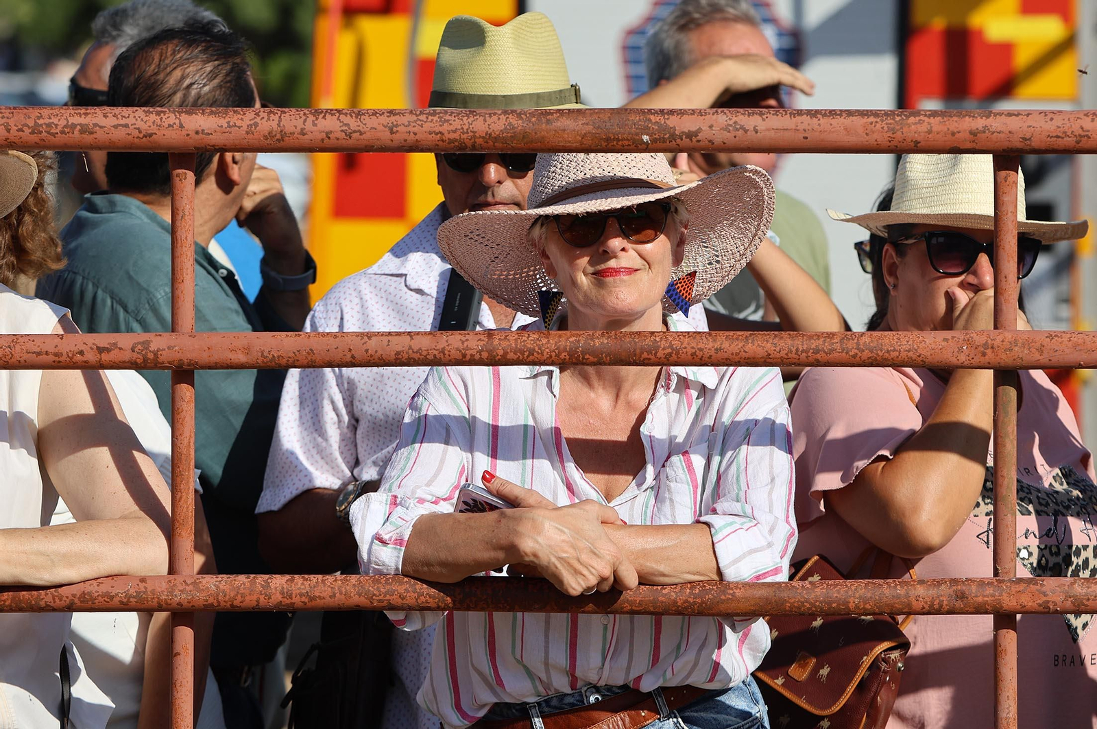 Las mejores imágenes de la Saca de las Yeguas 2025