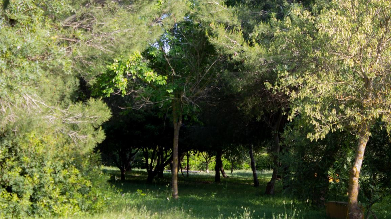 Fotos del parque municipal El Torrejón