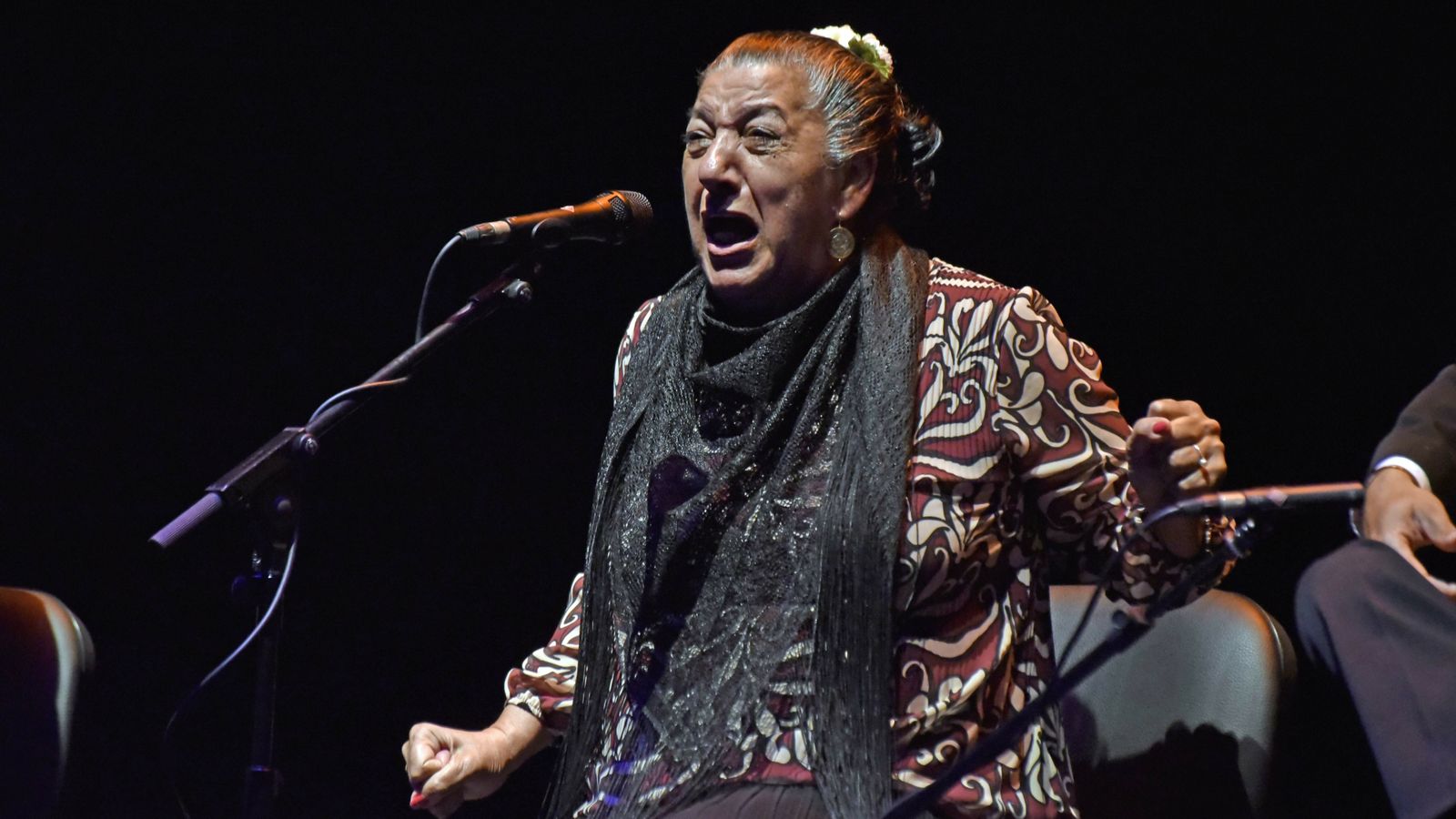 Las fotos de XXVII edición de La Palma de Plata