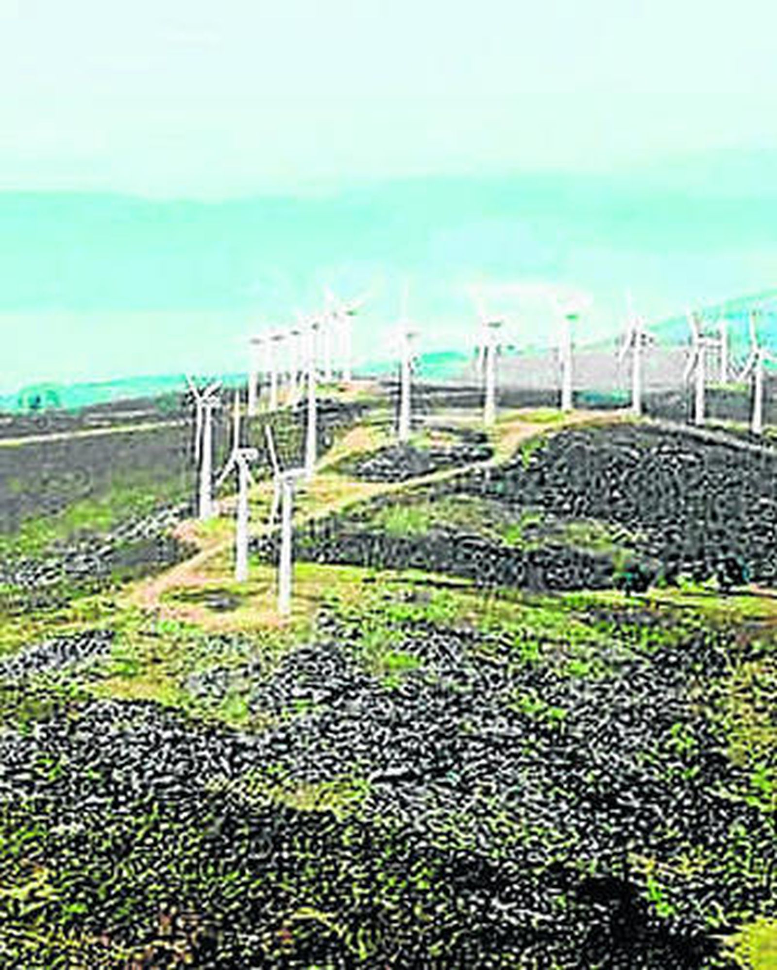 Vista de un parque eólico.