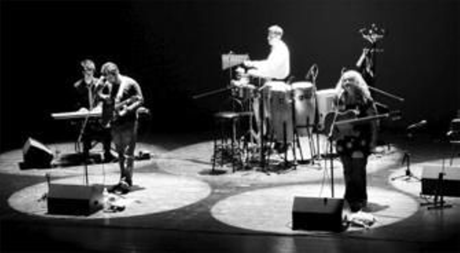 La banda, liderada por Fede Comín y Elena Bugedo, se compone de un cuadro de percusión y guitarras de un total de siete músicos.