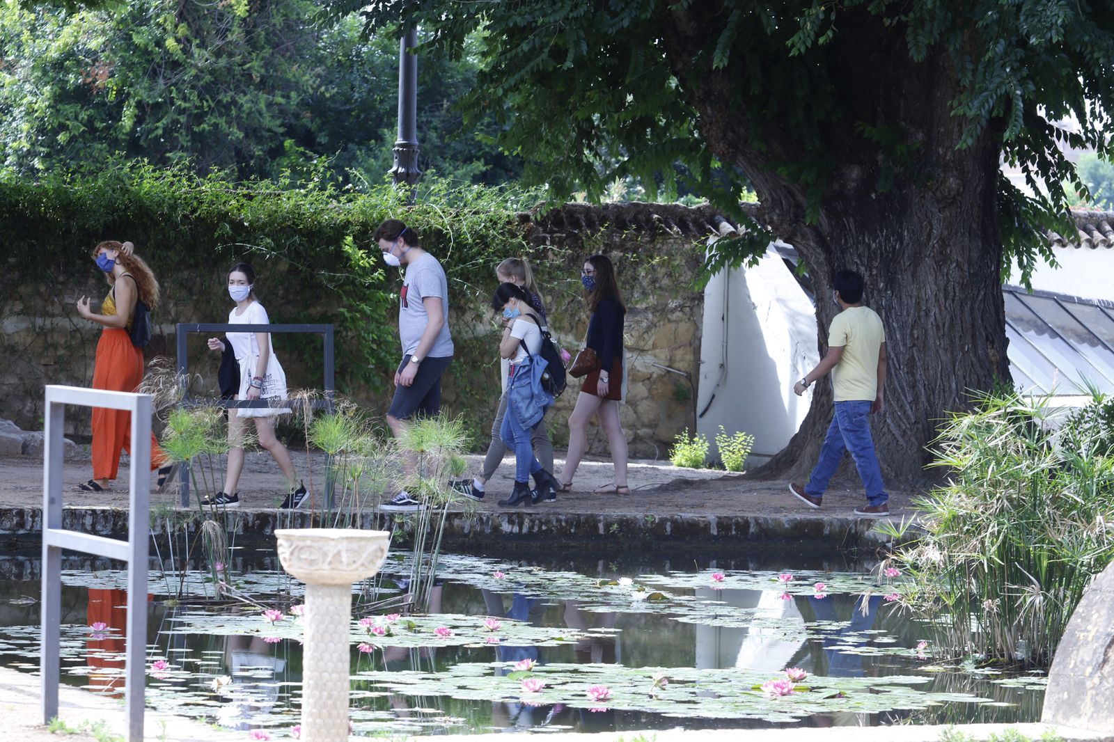 Las fotografías de la reapertura al público del Alcázar