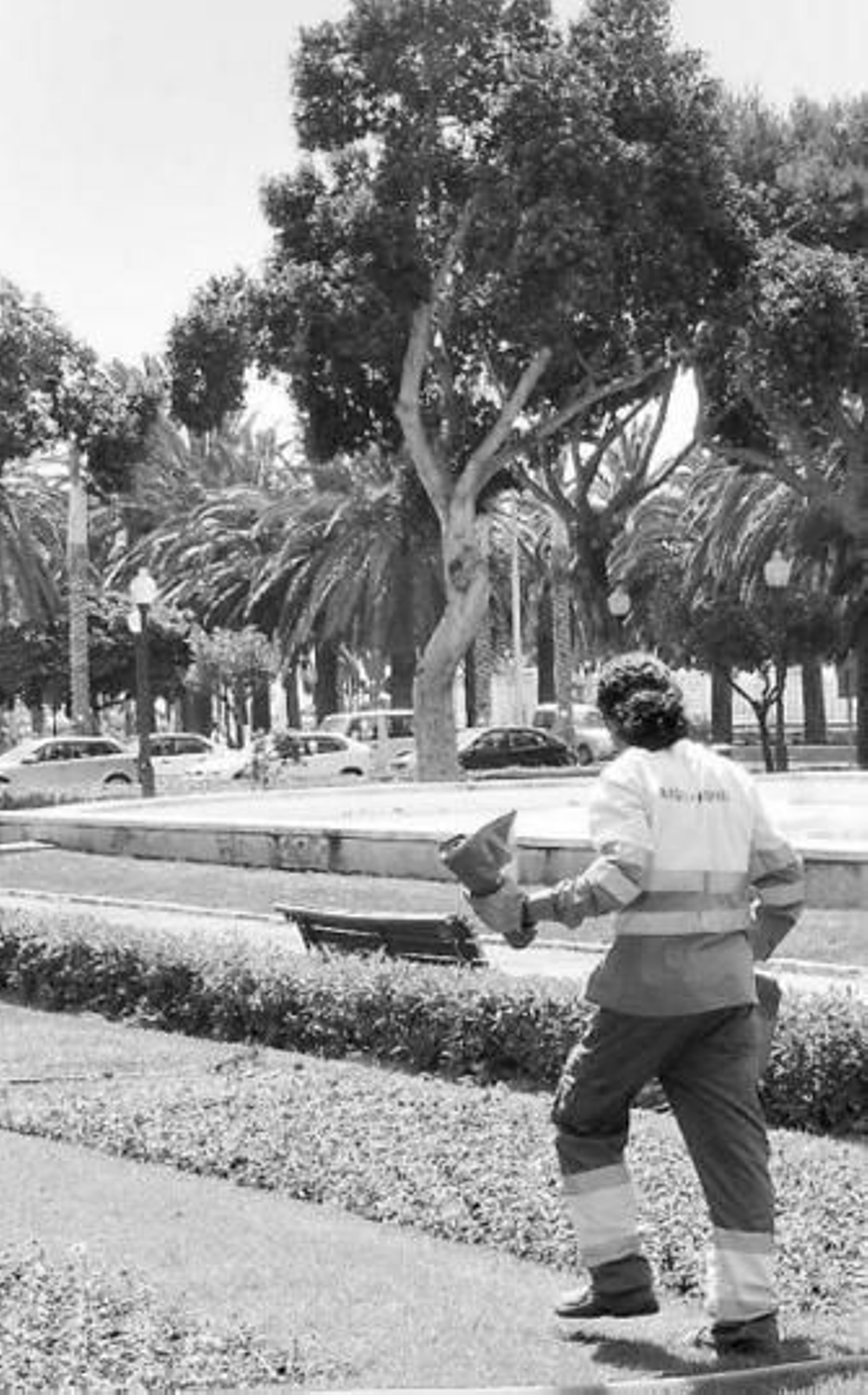 Un operario de Eulen camina junto a las petunias en el Parque.