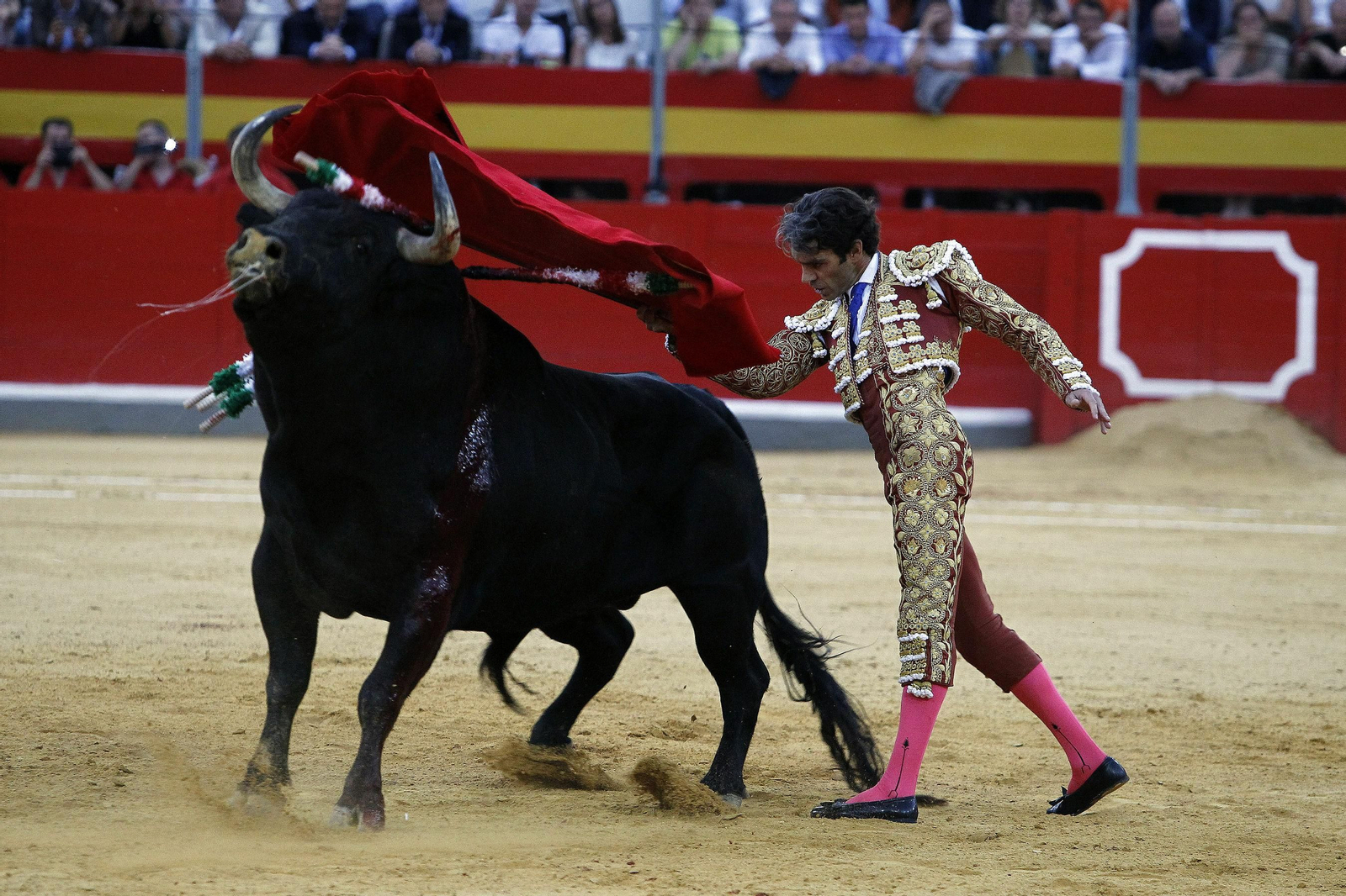 José Tomás, en la Feria del Corpus 2014.