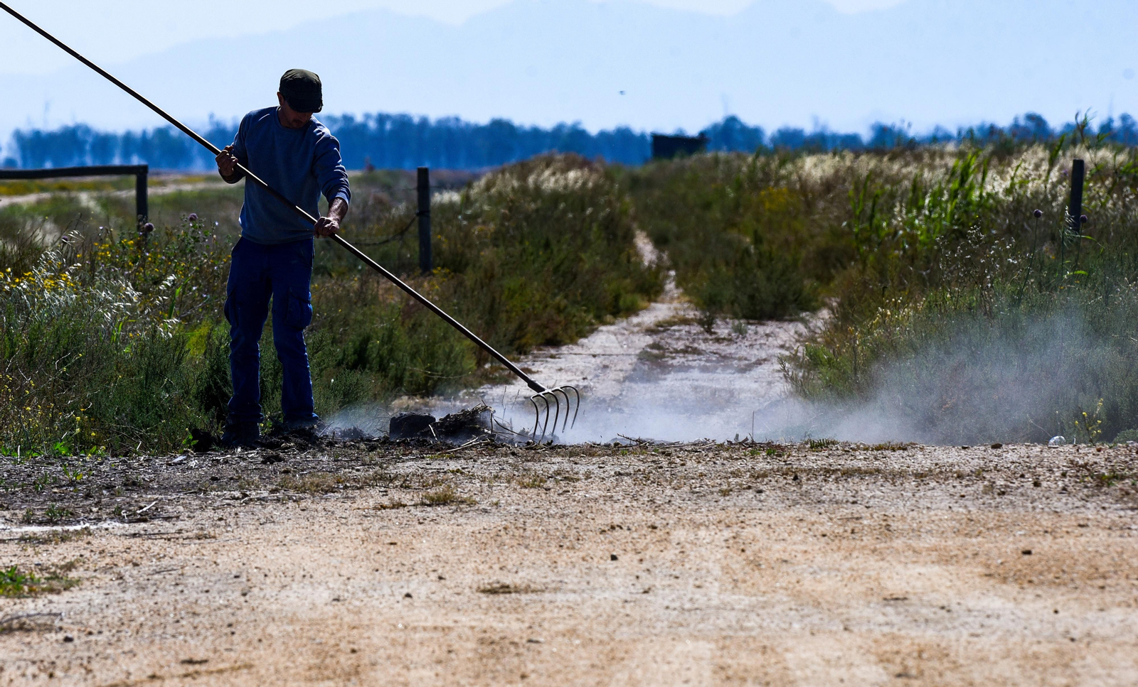 Imágenes de la finca Veta la Palma