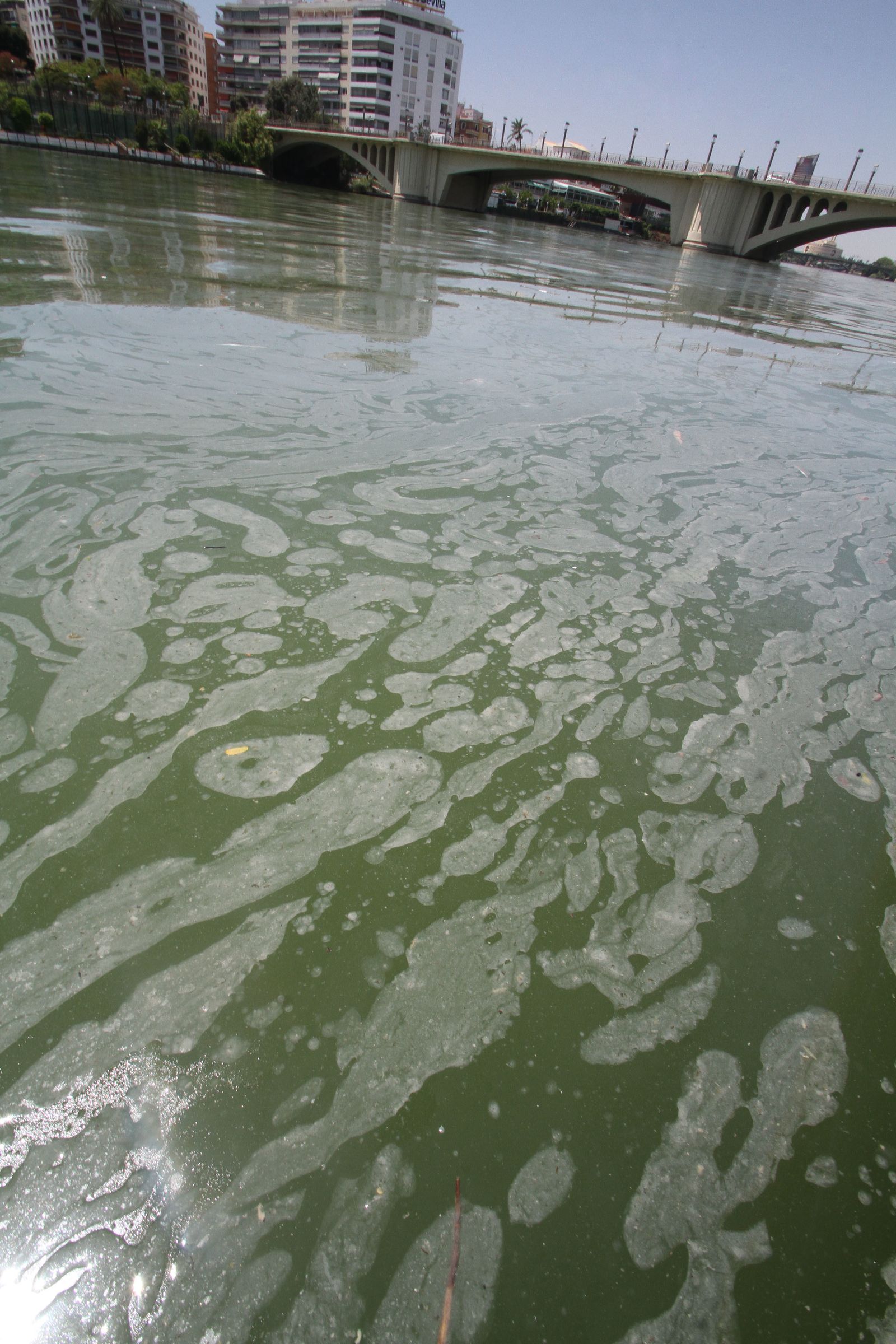 Mancha de aceite en el Guadalquivir