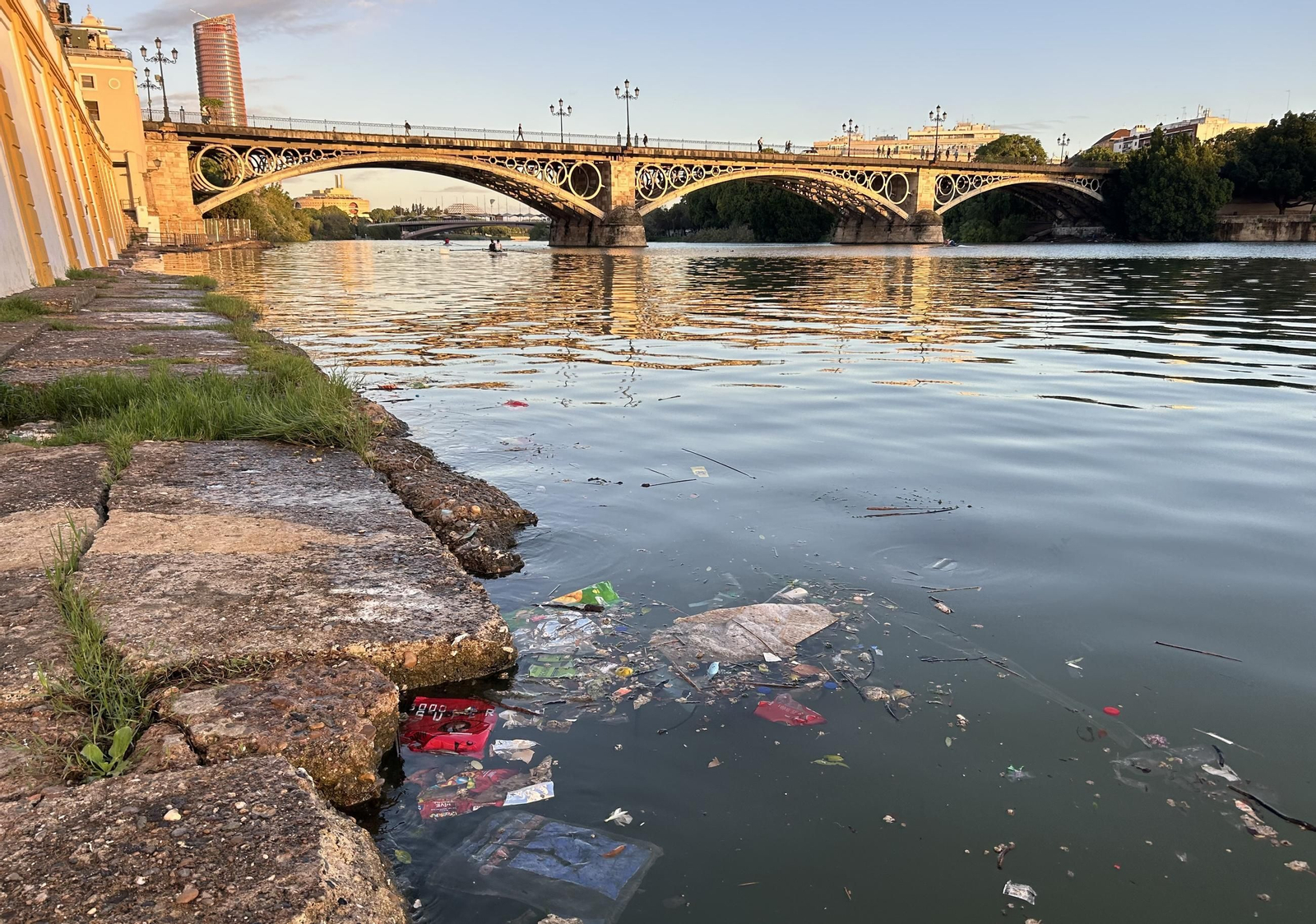 Así amanece hoy el Guadalquivir en Sevilla