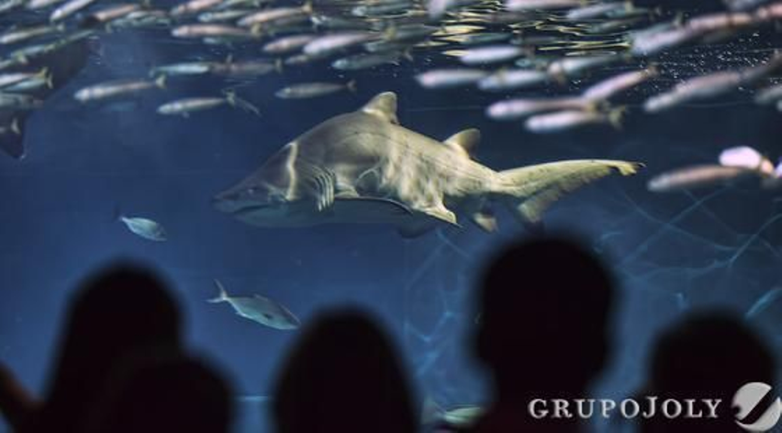 Foto: Antonio Pizarro