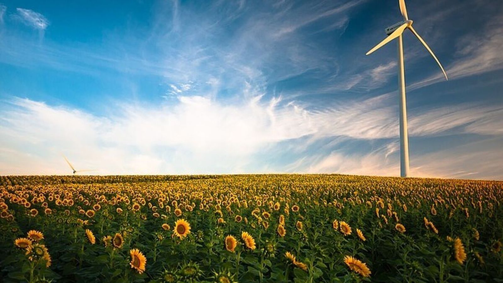 Demuestra todo lo que sabes sobre energías renovables