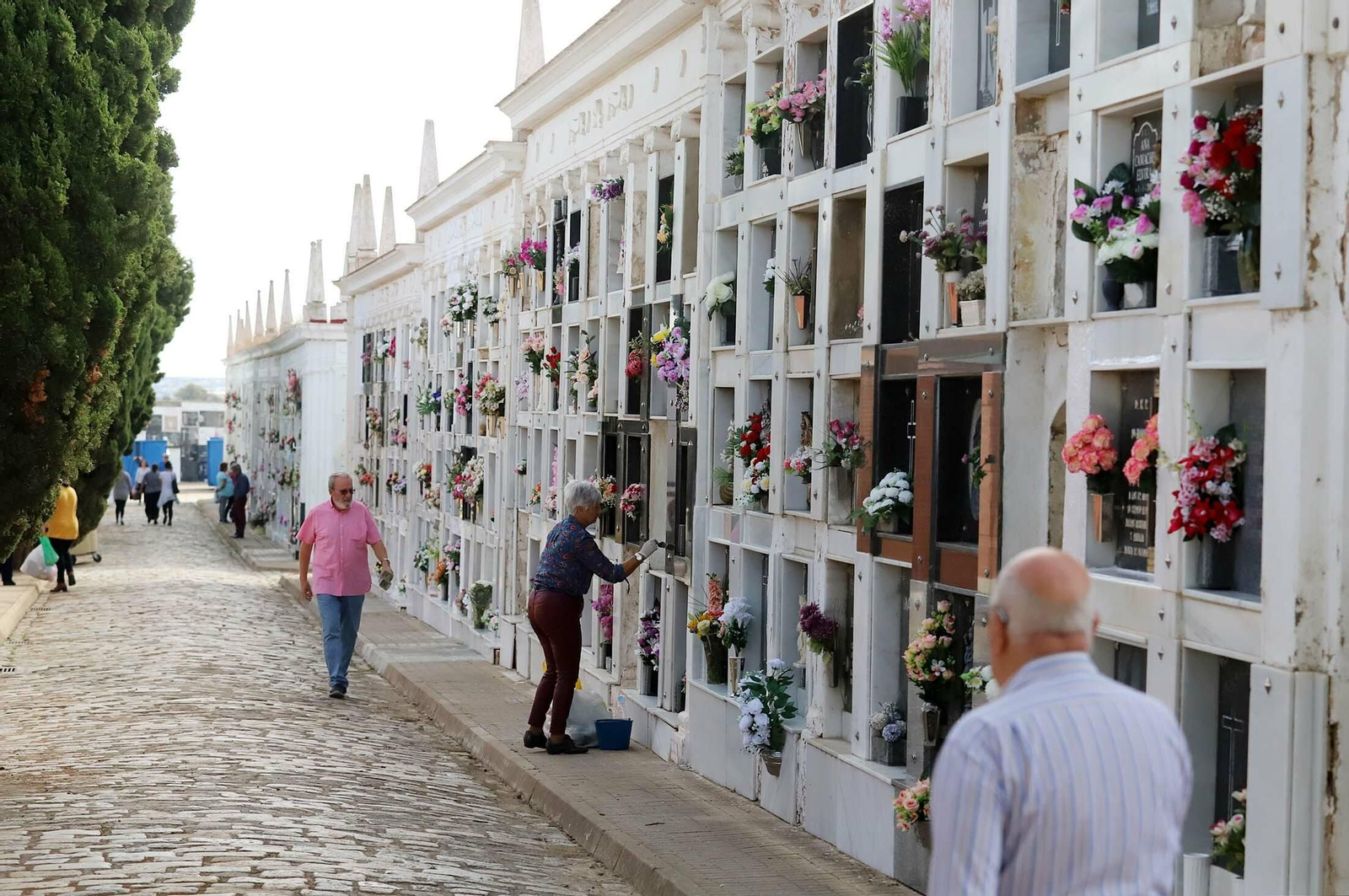 Imágenes del día de todos los santos