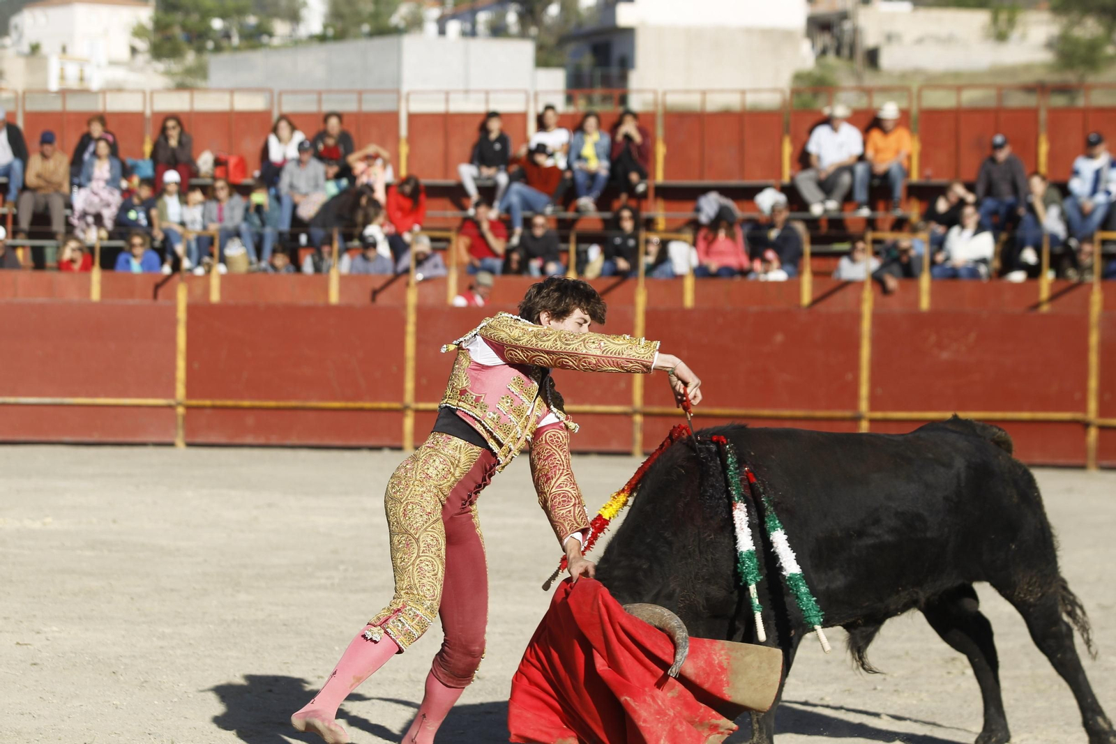Fotogalería Novillada Fiestas de Abrucena