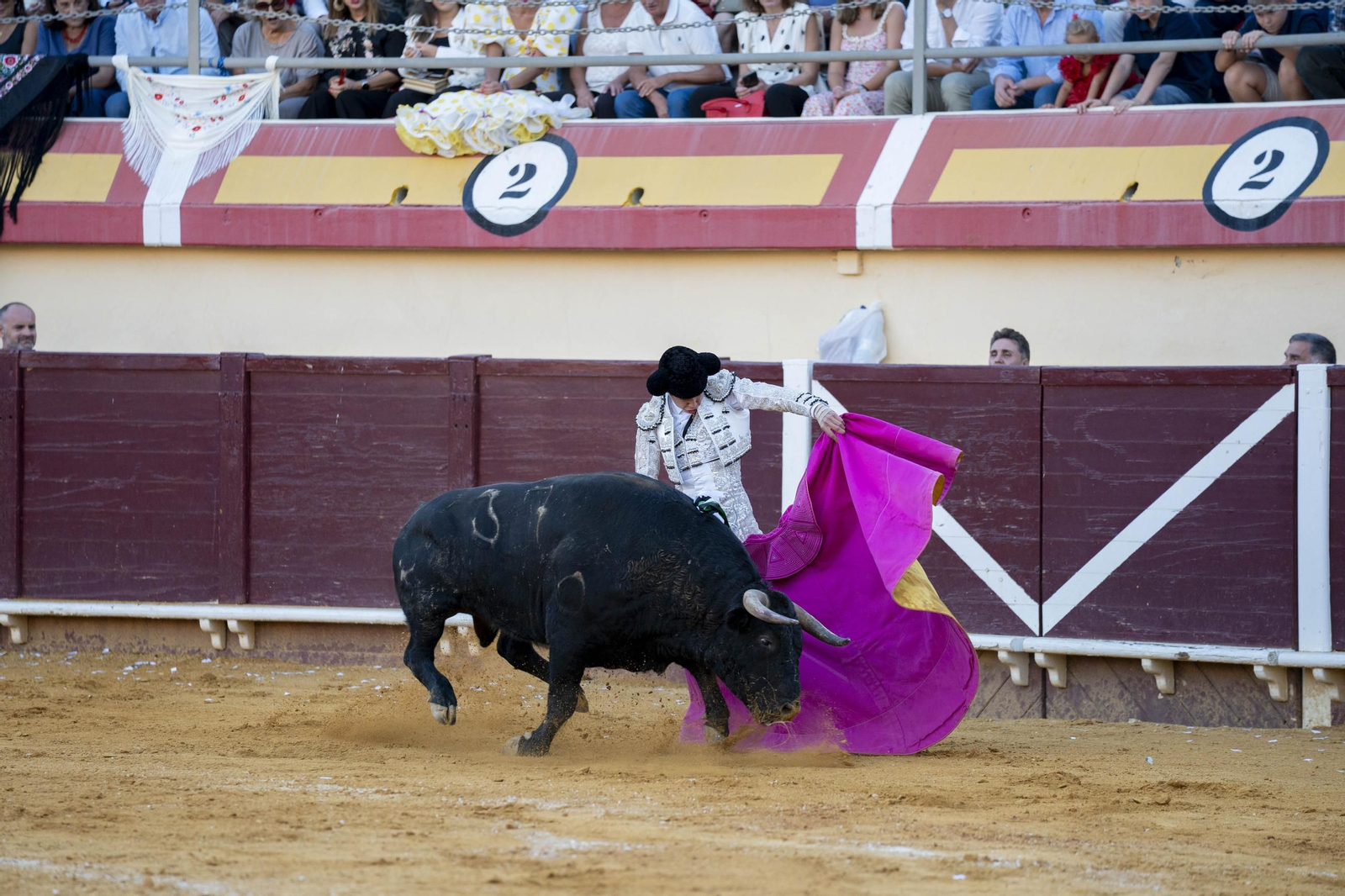 Las imágenes de los toros en Vera