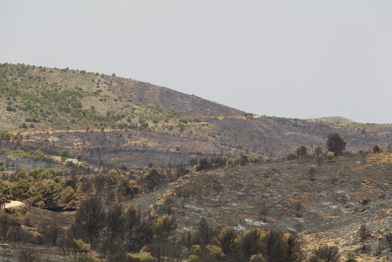 Fotogalería incendio extinguido Sierra de Gádor