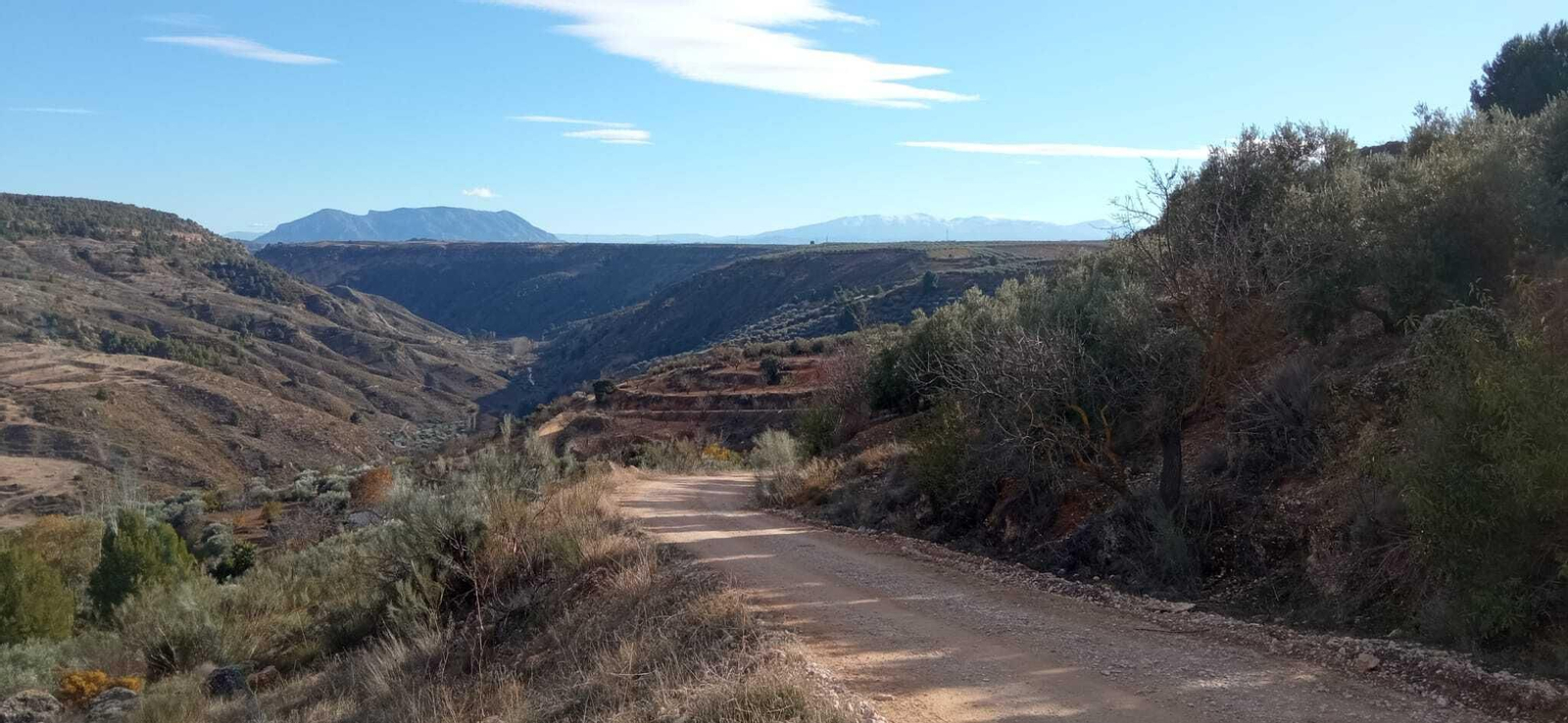 Las imágenes de la ruta del Bosque Encantado de Higueras