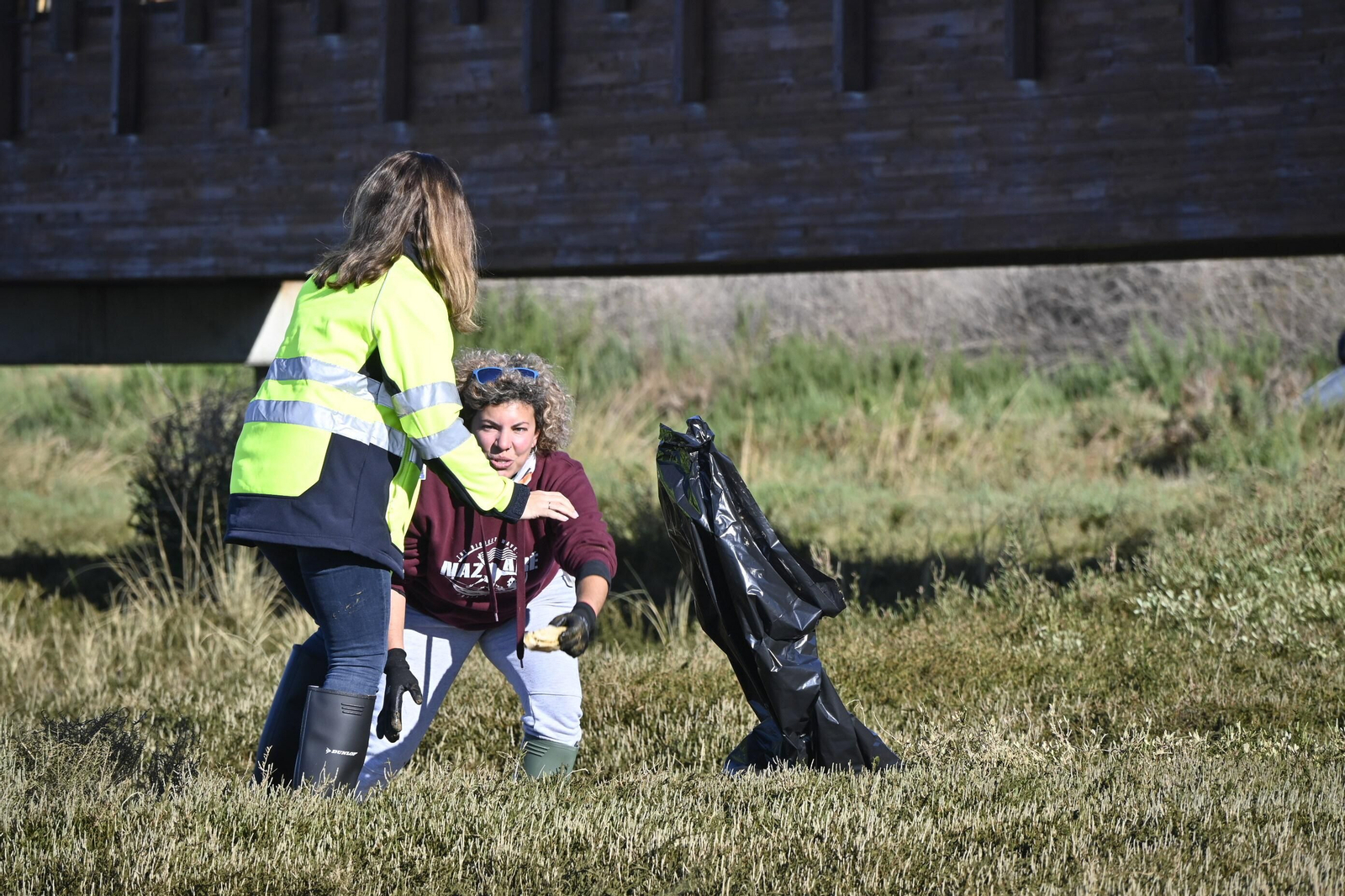 Plantación de la especie autóctona Espartina Marítima en imágenes