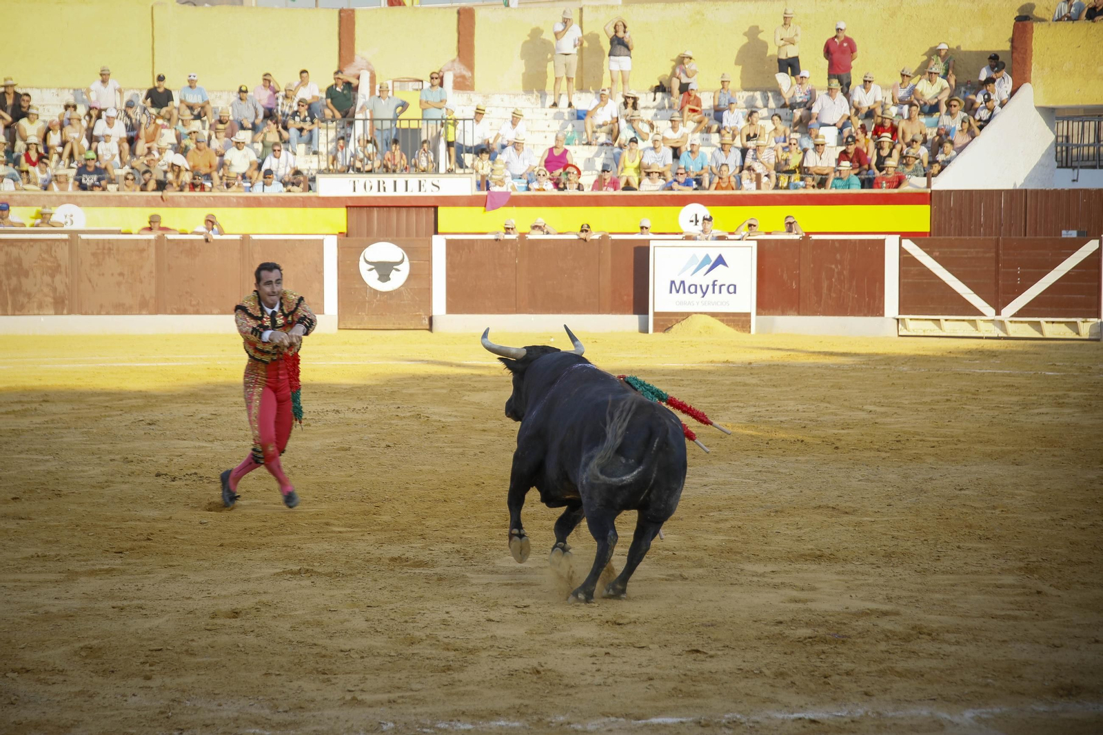 Corrida de toros Berja con un toro indultado, en imágenes
