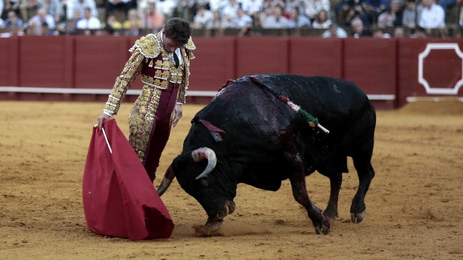 Cadaval y el sexto toro de la tarde.