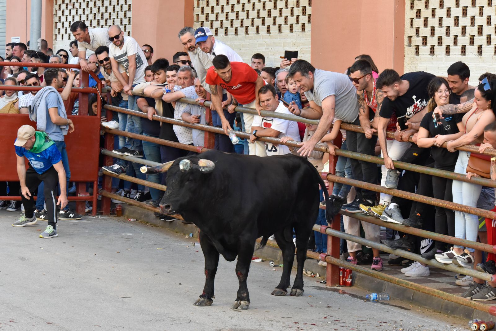 Fotos del encierro del sábado del Toro Embolao en Los Barrios
