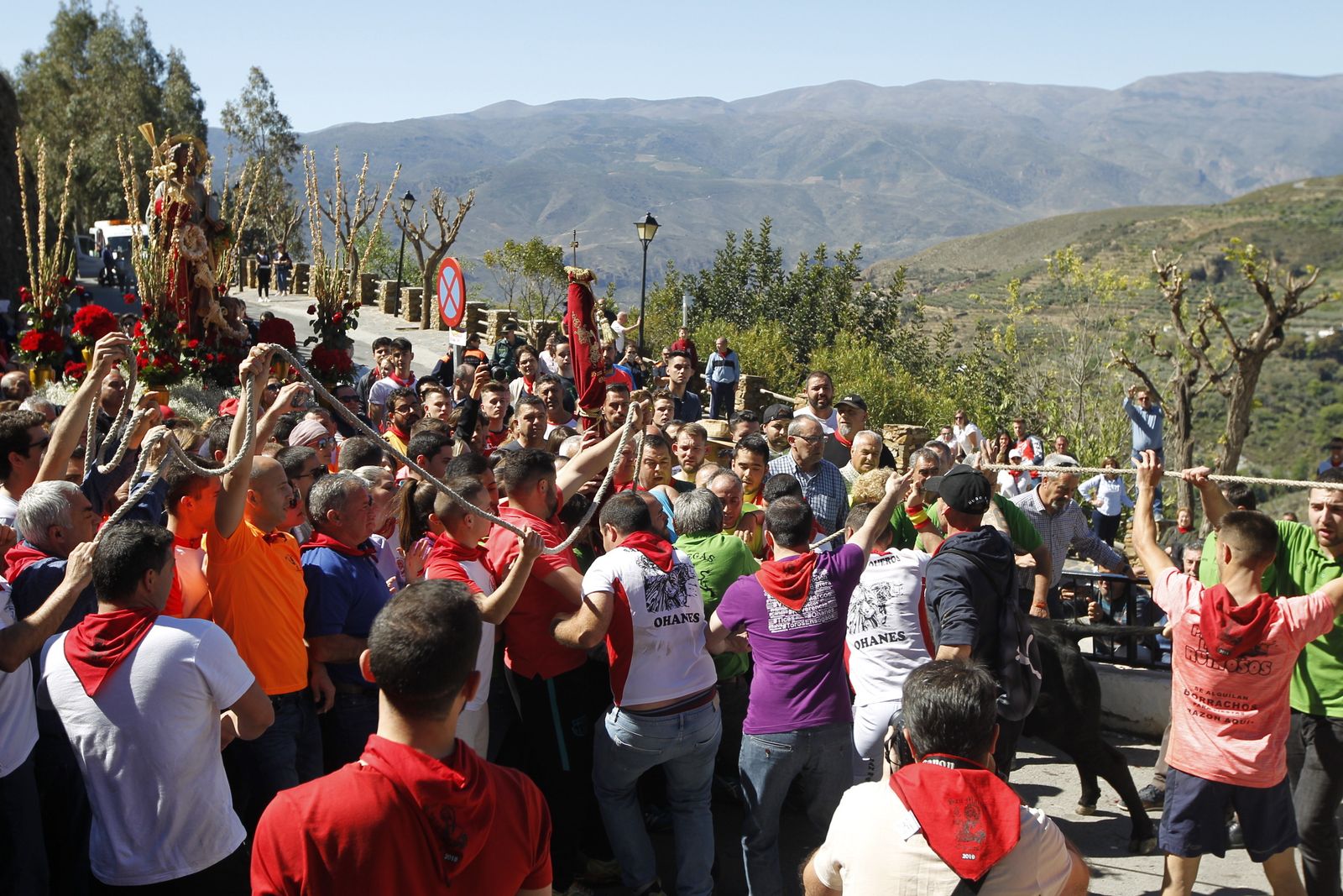 Fotogalería Tosos Ensogaos Ohanes. Fiestas San Marcos.