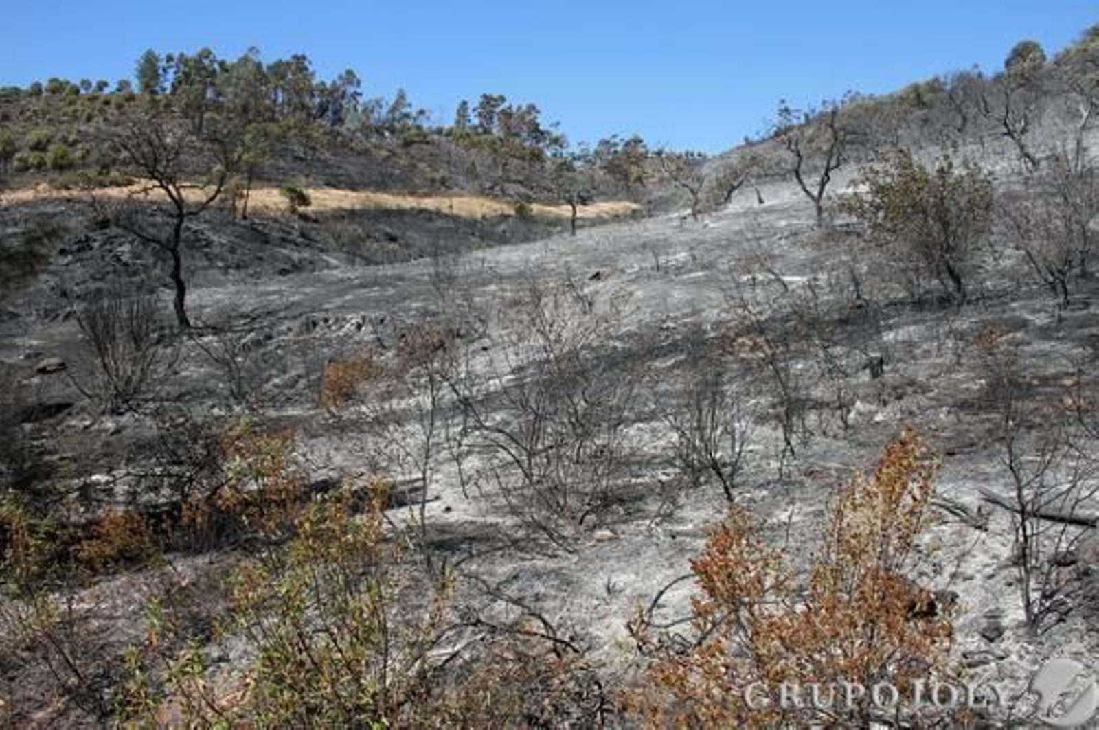 Foto: Alberto Domínguez