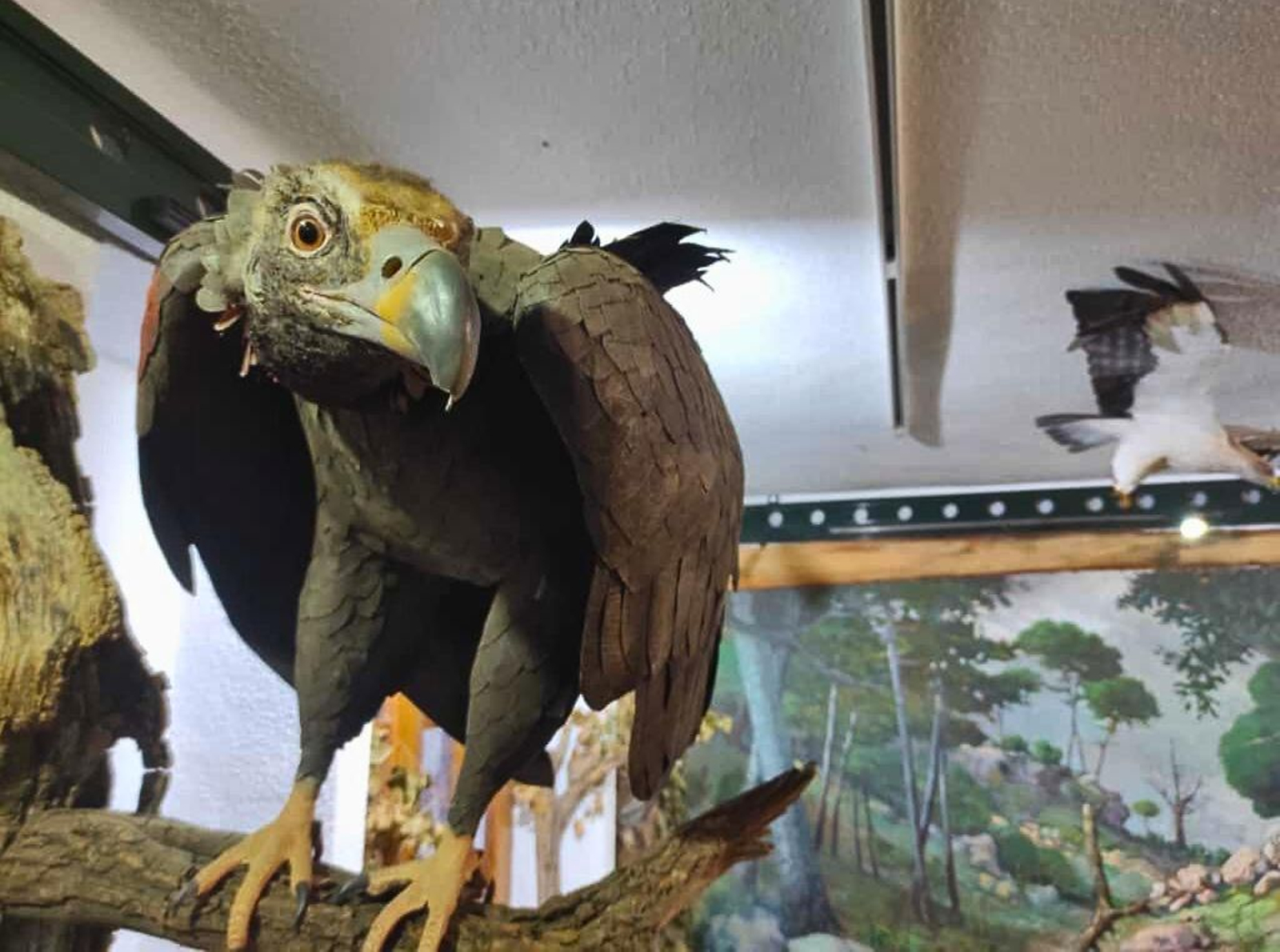 La visita a la Casa de la Luz y Frondosa Naturaleza está recomendada como complemento a la bóveda del Cerezuelo.