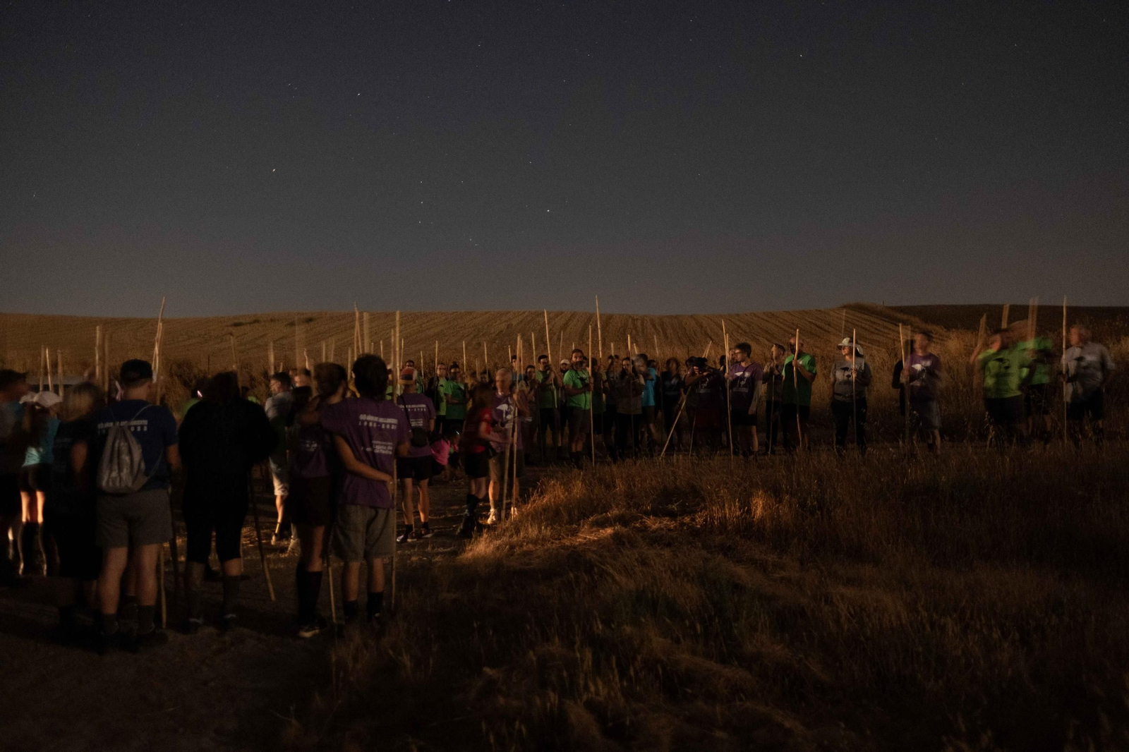 Anillamiento de flamencos en la Laguna de Fuente de Piedra, en imágenes
