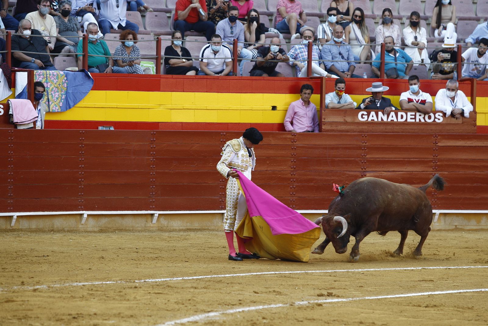 Fotogalería corrida de toros. Cayetano Rivera, Paco Ureña y Roca Rey. Roquetas de Mar.