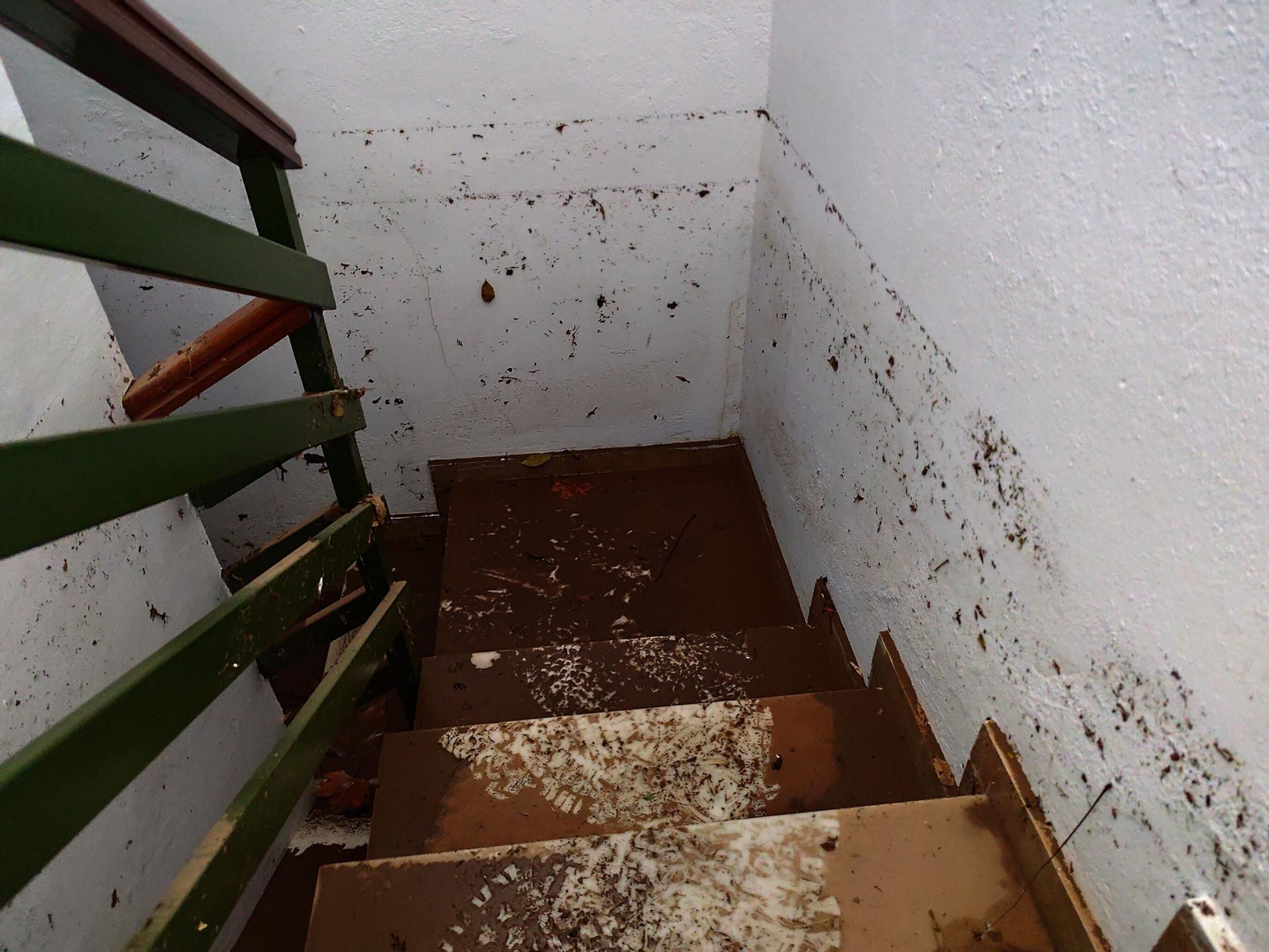 El rastro que deja la borrasca Claudia en Córdoba: anegaciones, árboles caídos y destrozos