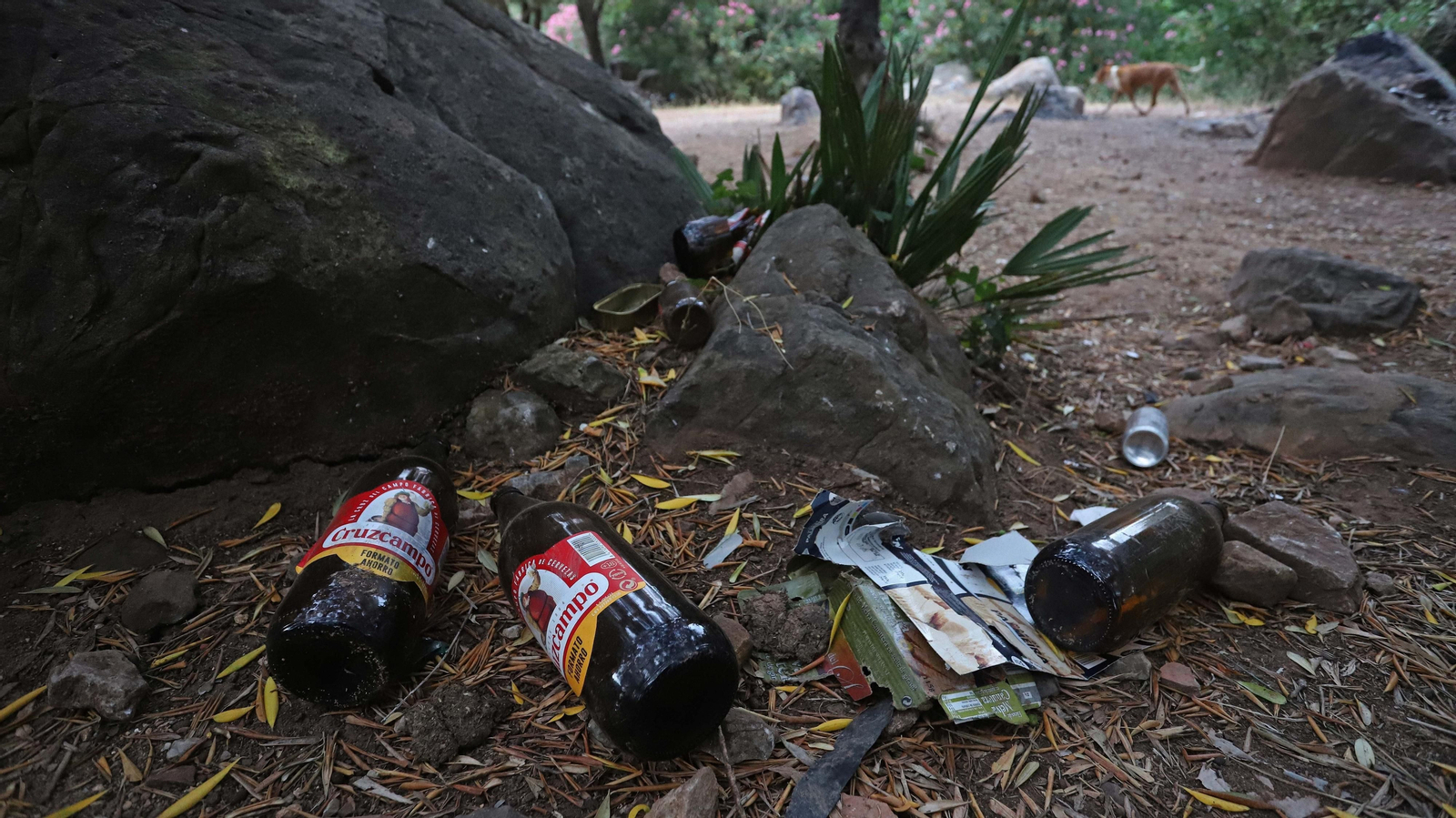 Basura en el sendero del Río de la Miel