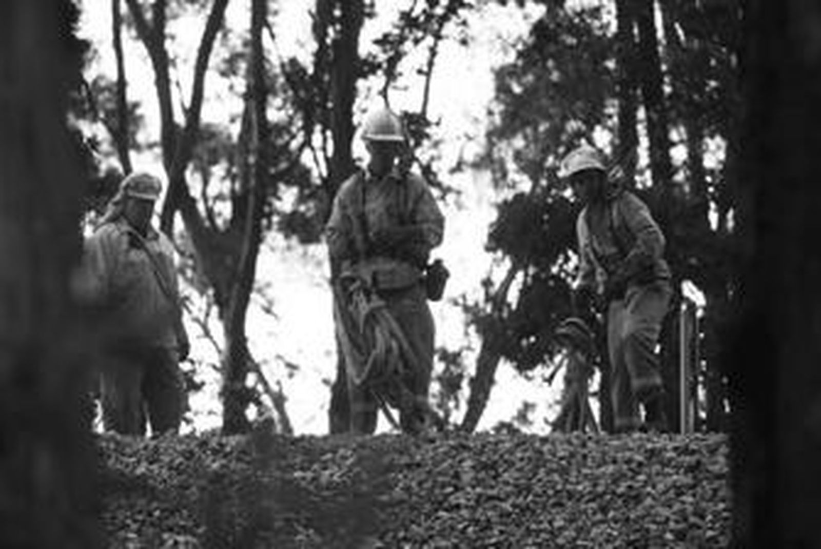 Tres miembros del Infoca en el incendio de Los Barrios, ayer.