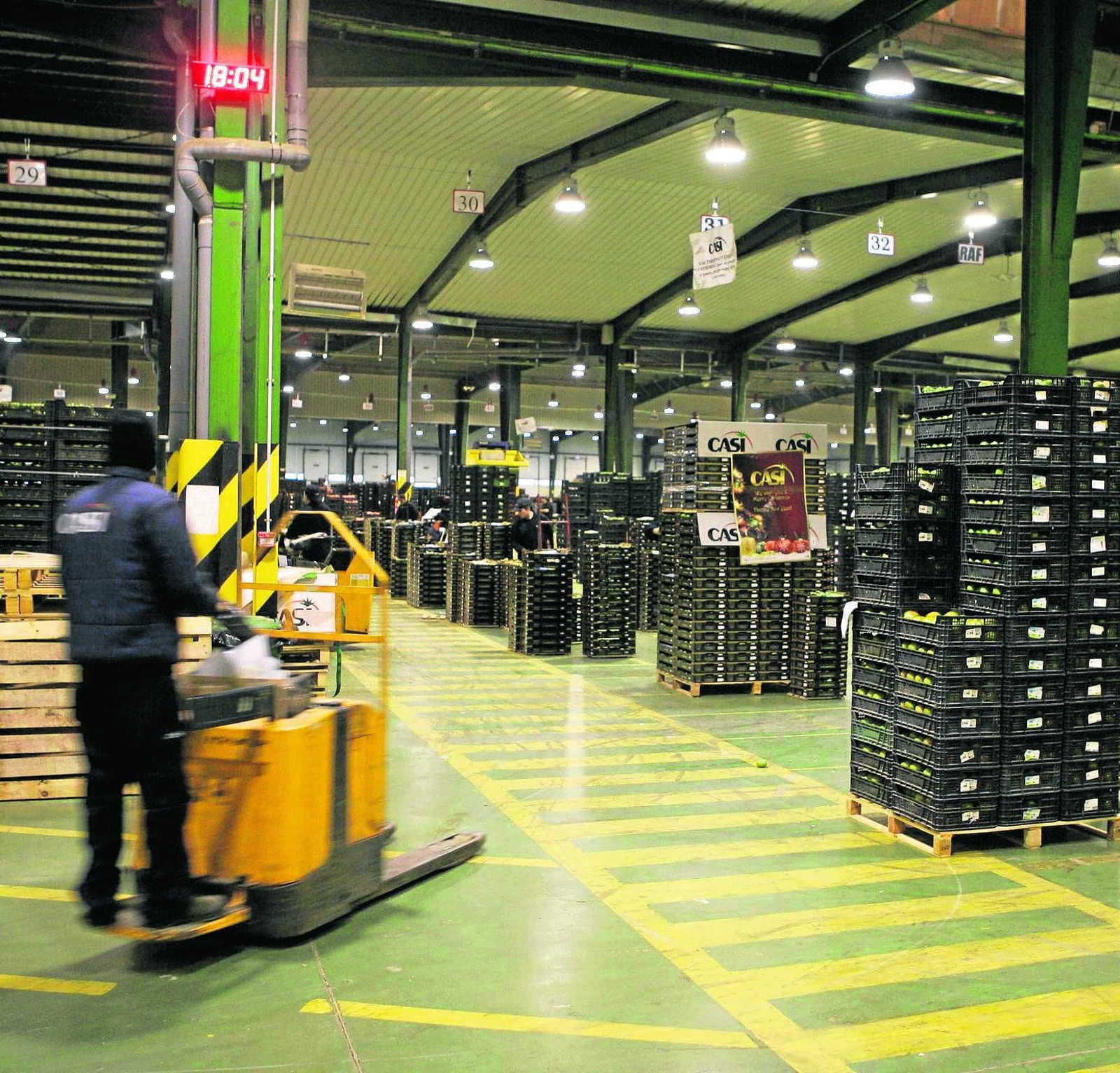 Fábrica de envasado de hortalizas para exportaciones en Almería. Fábrica de envasado de hortalizas para exportaciones en Almería.
