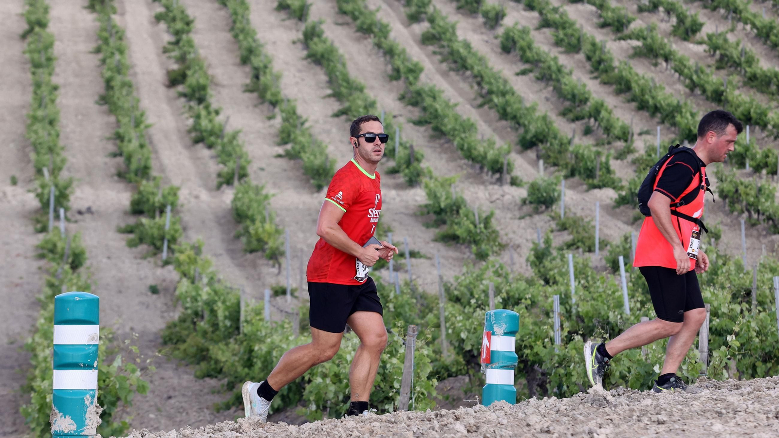Búscate en la Sherry Maratón 2025 de Jerez (I)