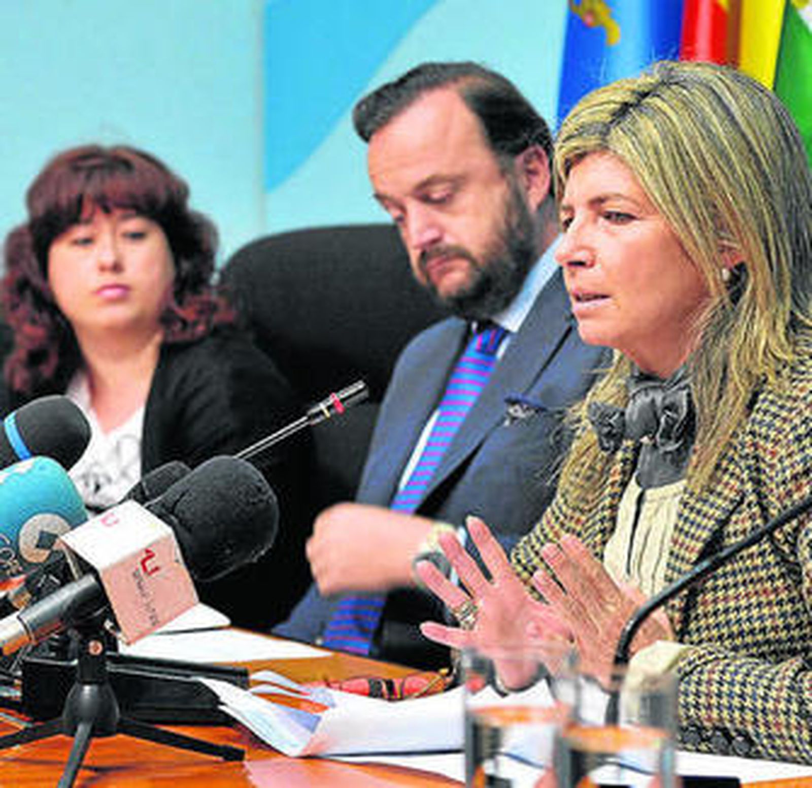 Paredes durante la presentación del proyecto, en la mañana de ayer.