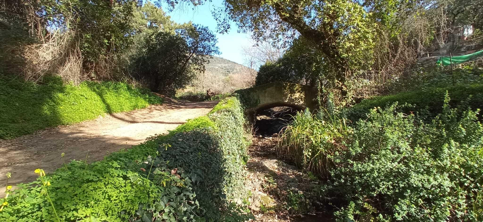 Fotos de la Ruta circular Aracena-Linares de la Sierra-Aracena