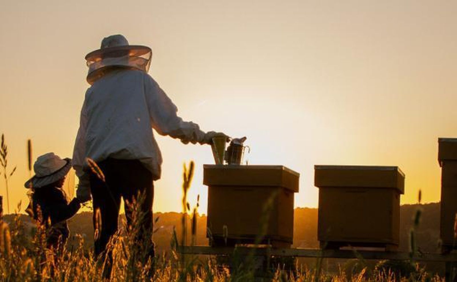 La muestra 'Inspira el cambio' en la UCA