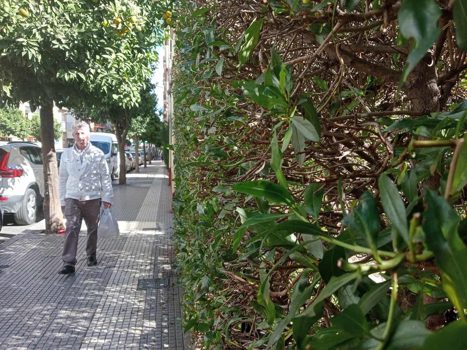 Barrio a Barrio: Imágenes de San Antonio