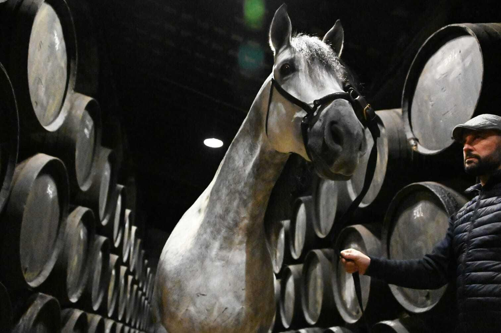 Galería fotográfica del rodaje de 'Siete Jereles'
