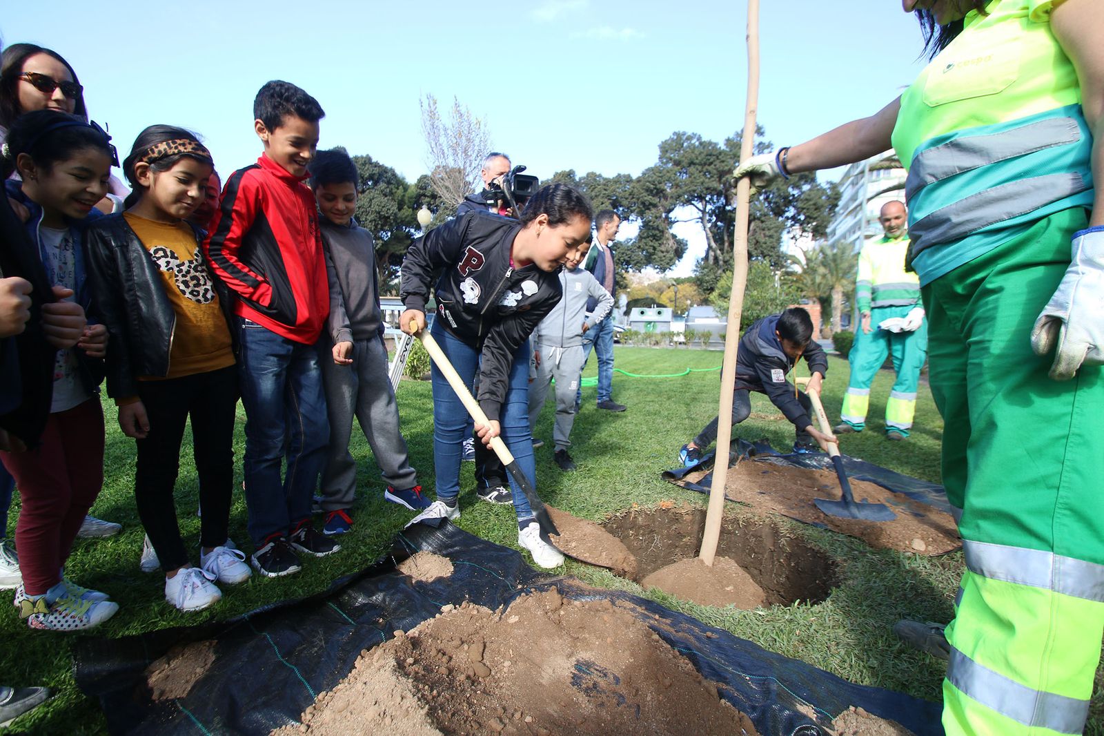 Imágenes del Día Mundial del Árbol