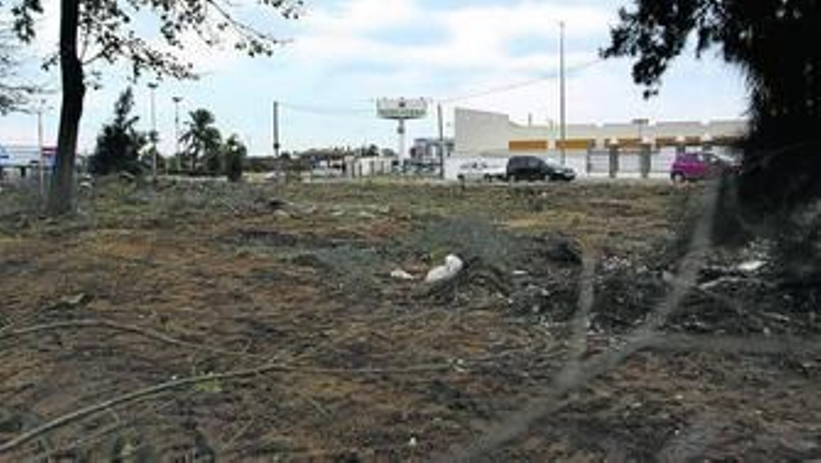 Las excavadoras ya han retirado matorrales y limpian la zona. Al fondo, se divisa el supermercado Mercadona.