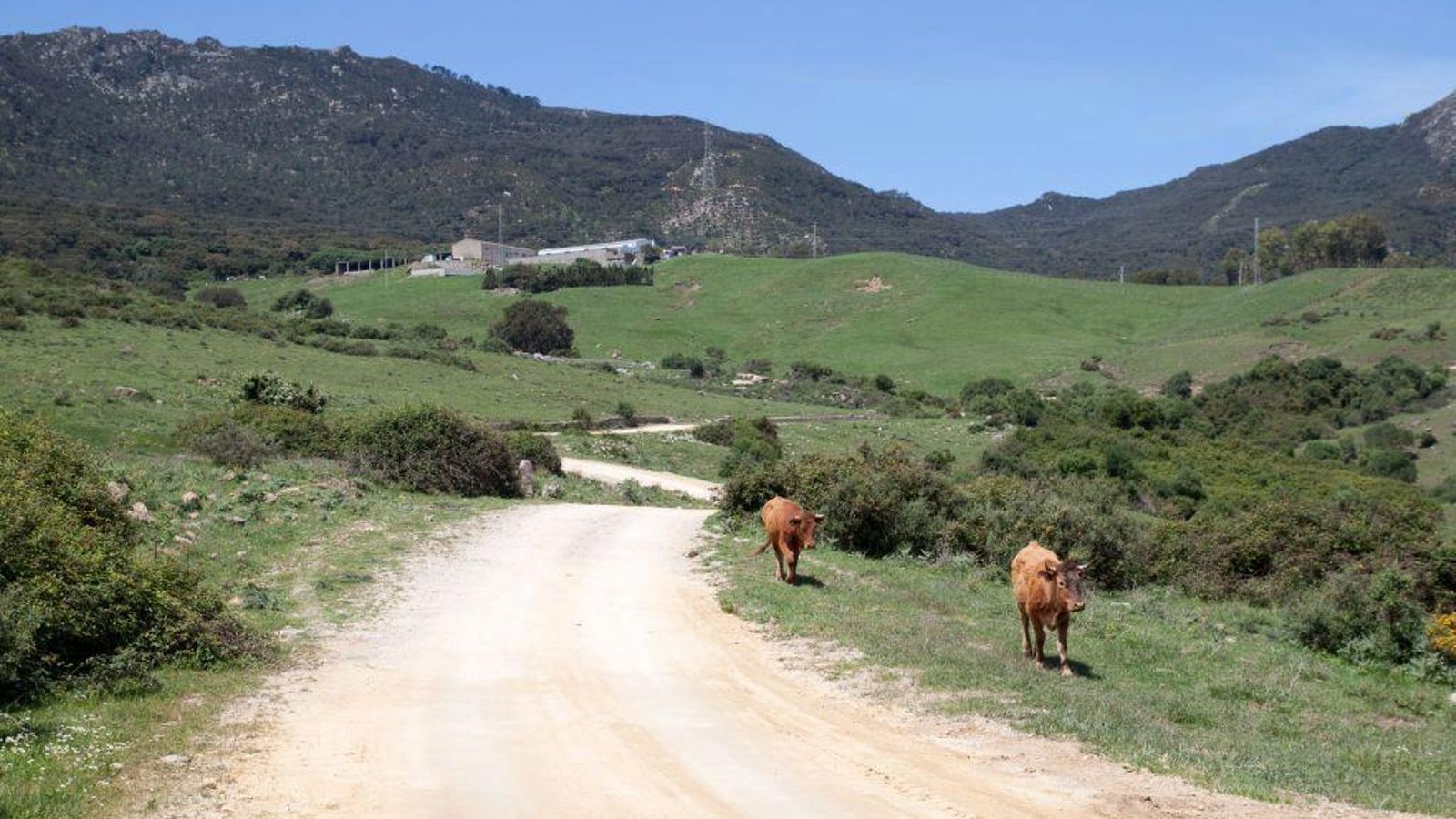 Un sendero en el que entrarás en contacto con la naturaleza