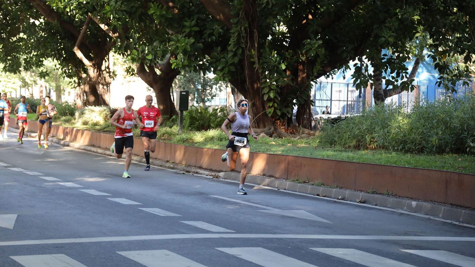 Búscate en las fotos de la Carrera de la Prensa en Málaga