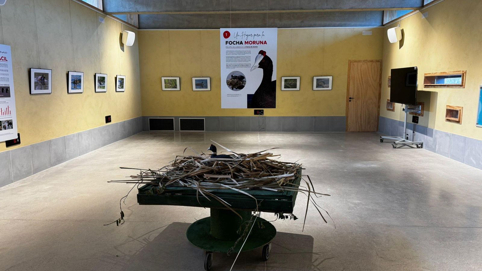 Han inaugurado el centro de recepción con una exposición sobre la focha