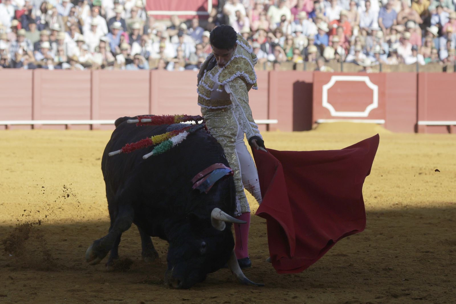 Las imágenes del festejo