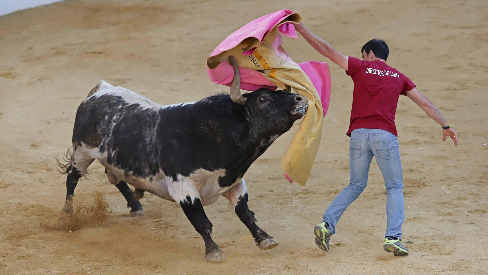 Toro de la Víspera en Los Barrios