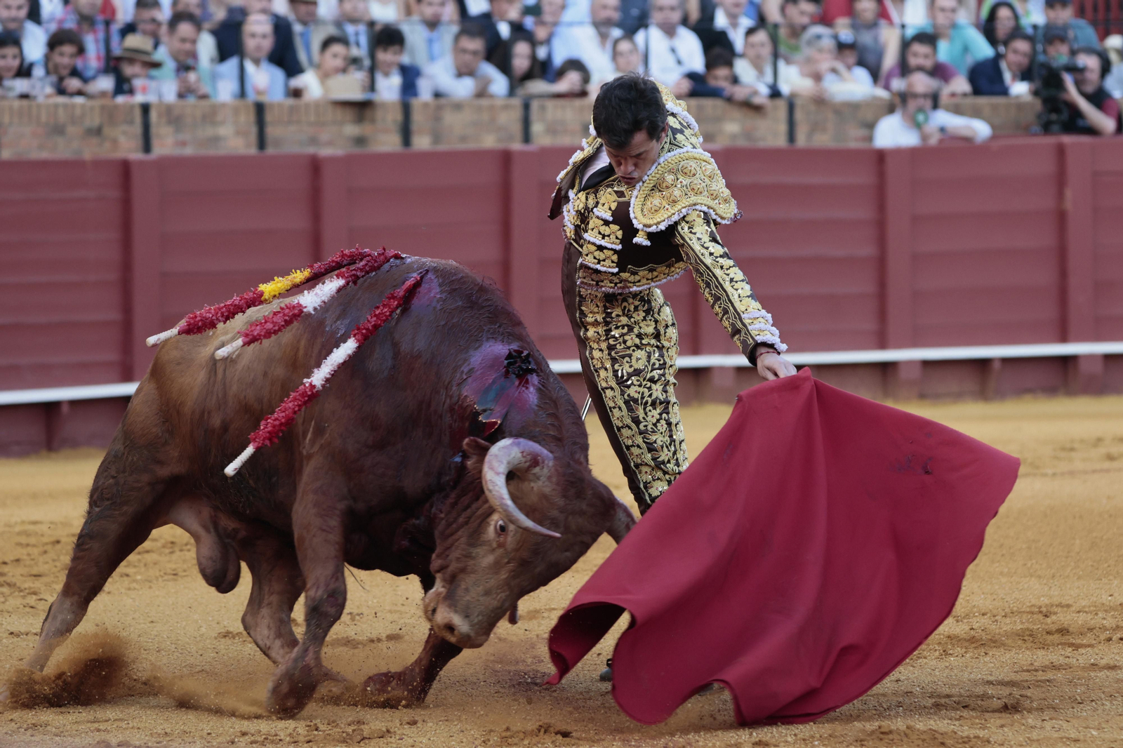 Las imágenes del festejo