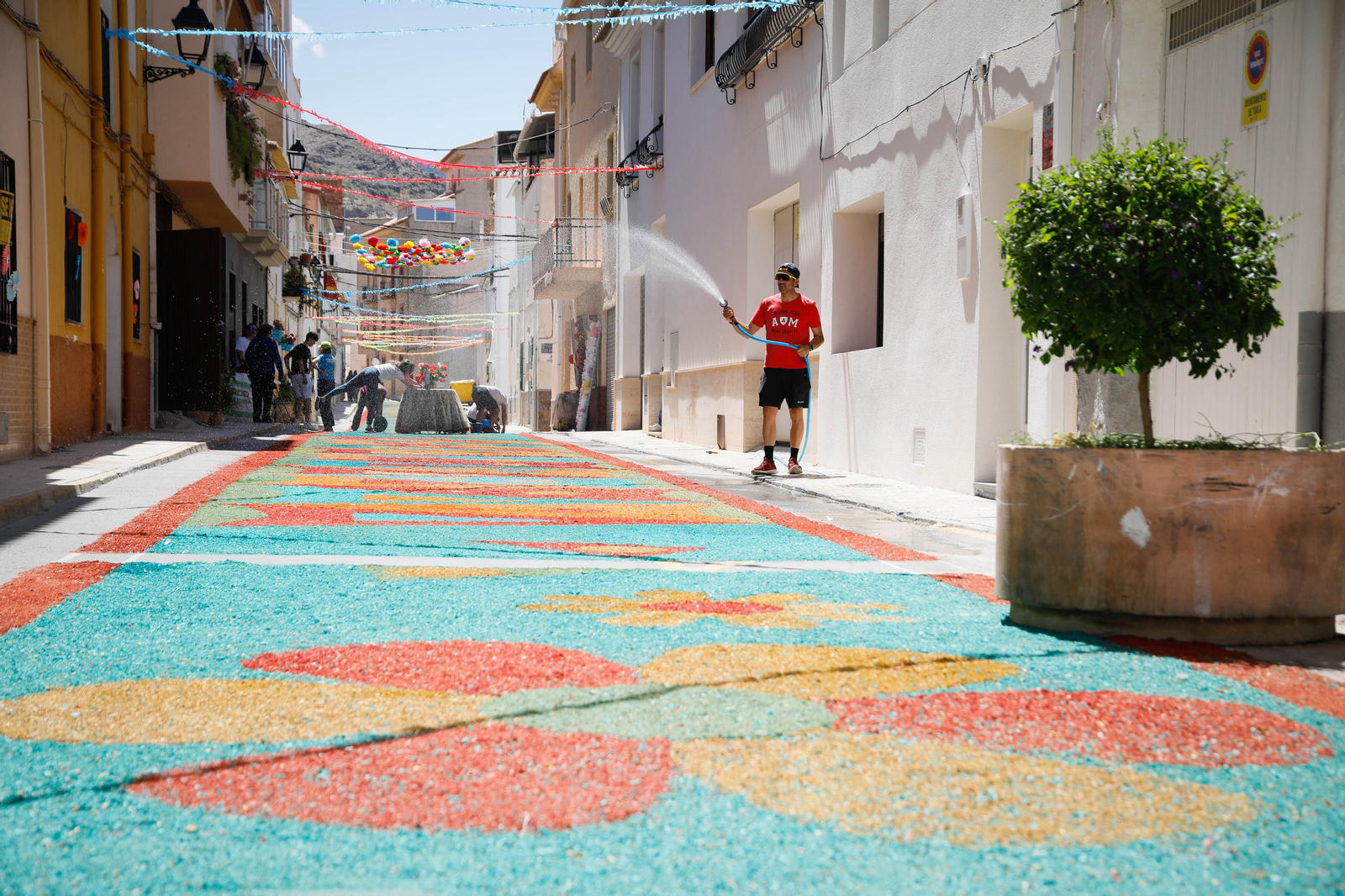 Así es la gran alfombra de serrín para que levite la Virgen de Fátima de Tíjola