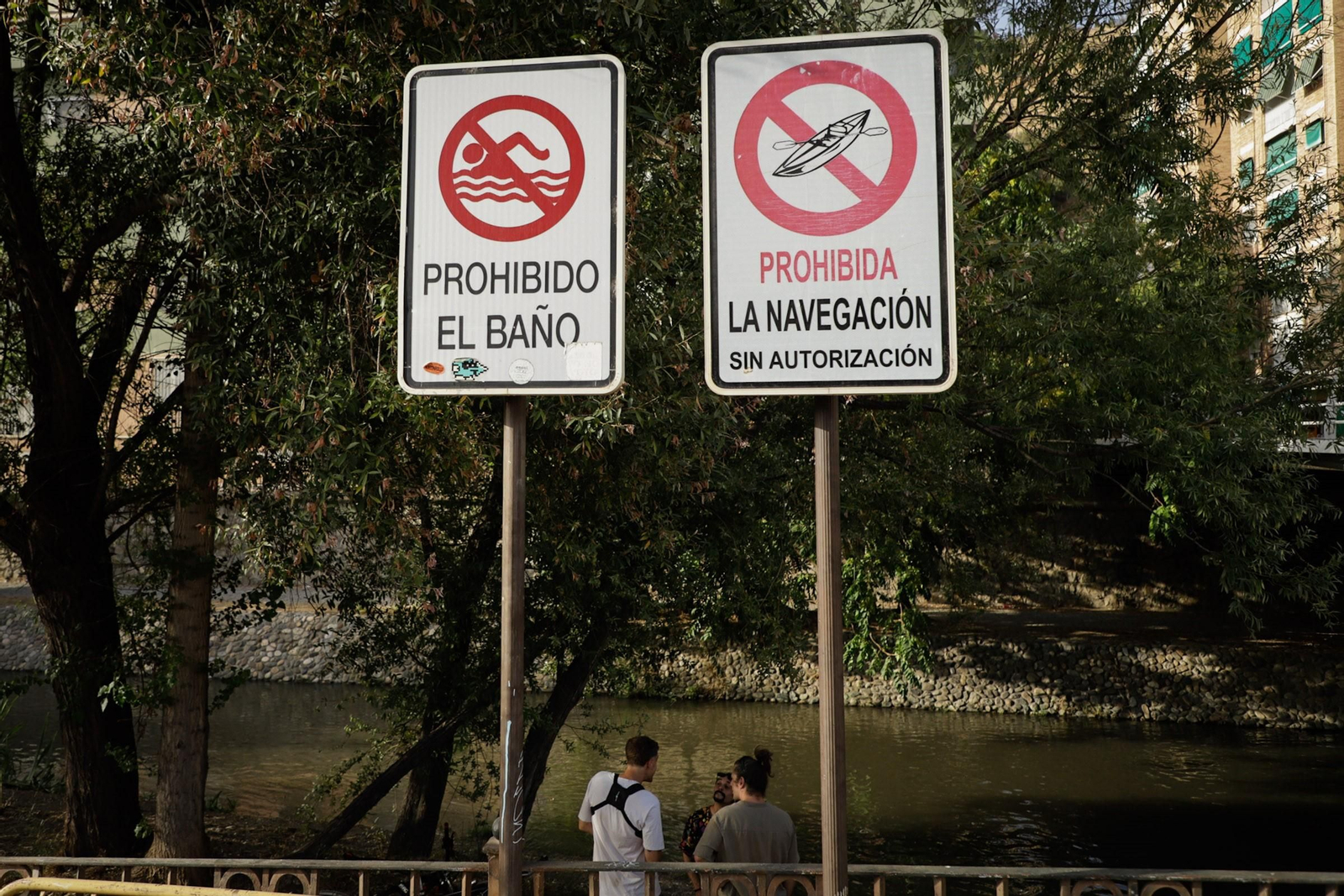 Las mejores imágenes del baño prohibido en Granada: el río Genil como refugio contra el calor