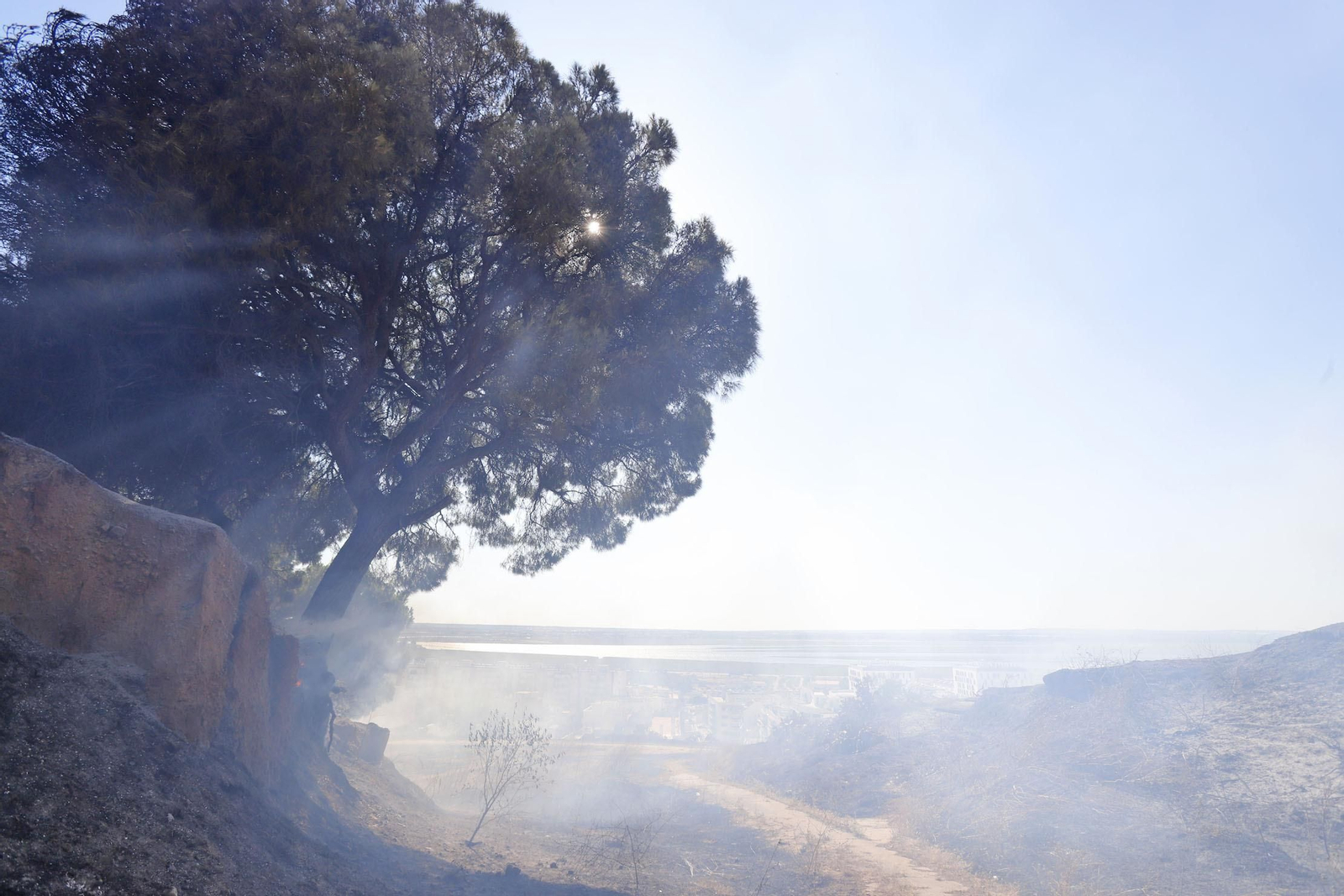 Imágenes del espectacular incendio en las laderas del Conquero