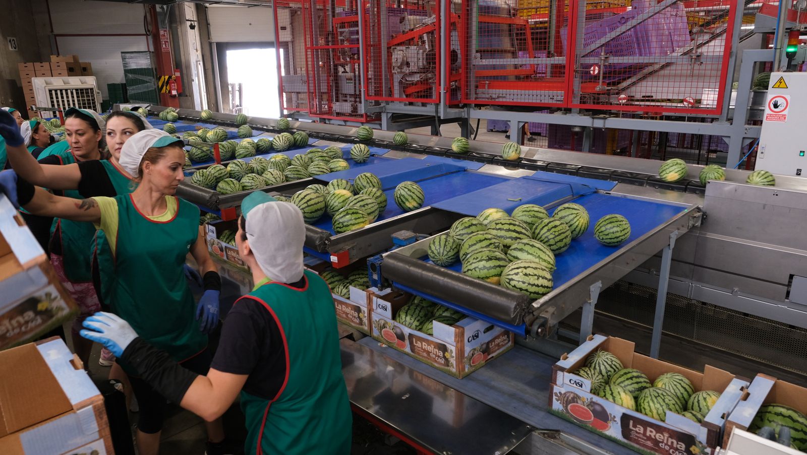 La IA llega a CASI, en imágenes