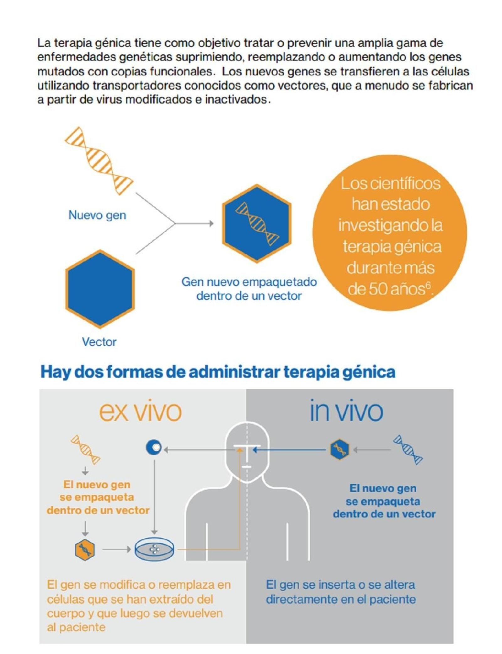 Terapia génica